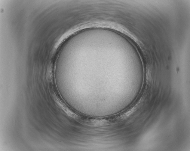 X0000087591498200705041456