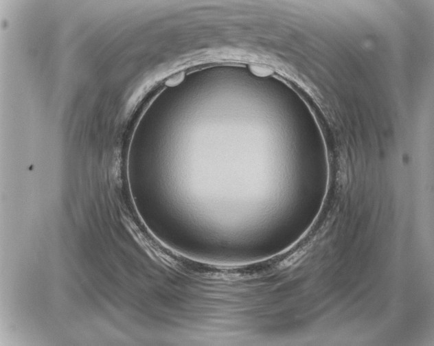 X0000087591499200705041456