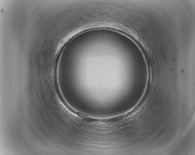 X0000087591500200705041456