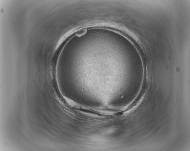 X0000087591501200705041456