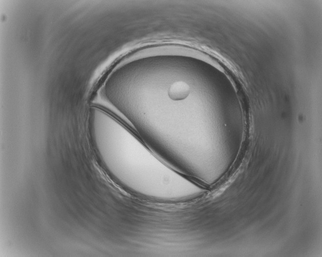 X0000087591502200705041456