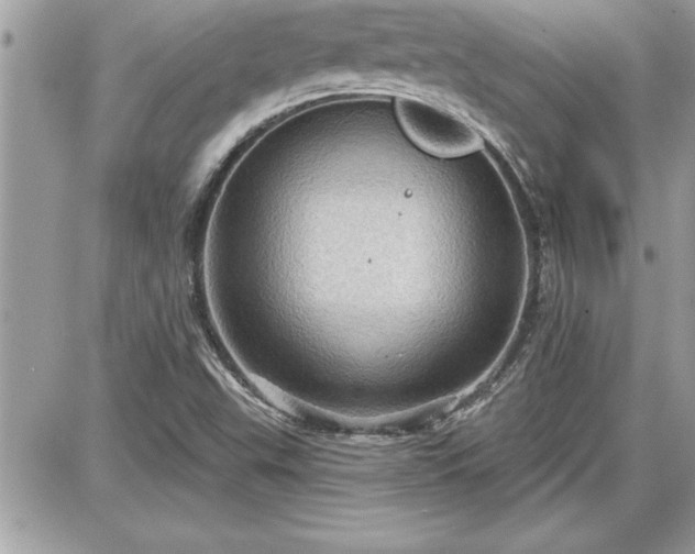 X0000087591503200705041456