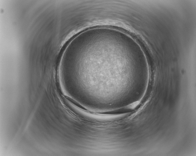 X0000087591505200705041456