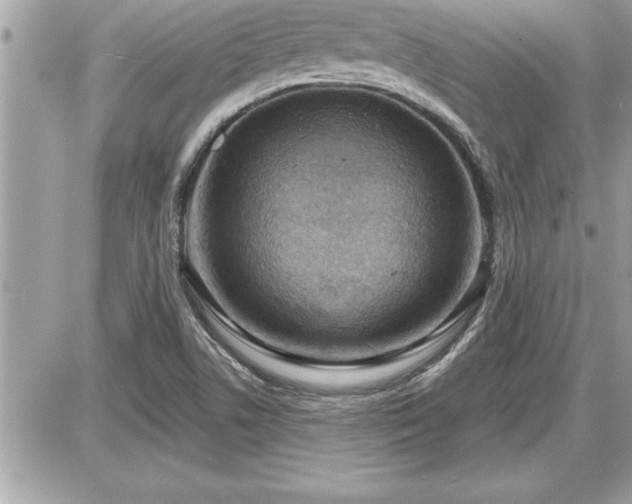 X0000087591506200705041456