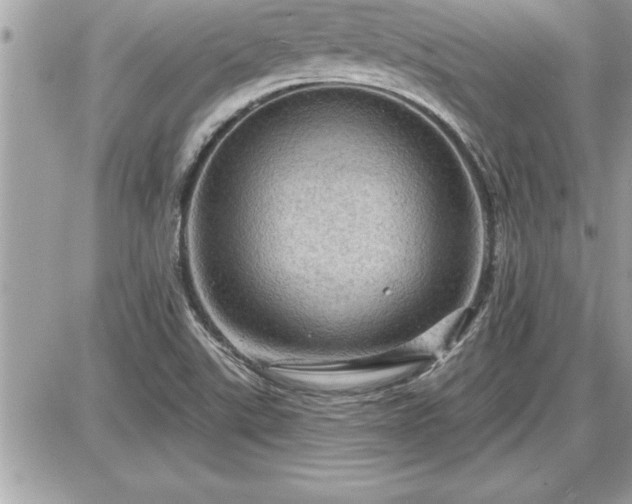 X0000087591507200705041456