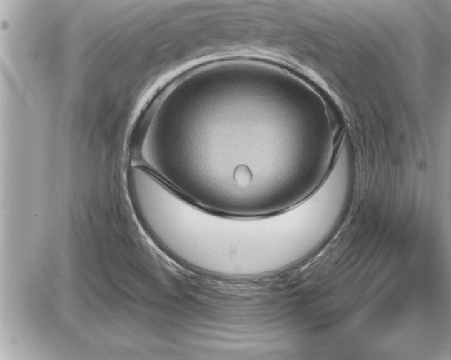 X0000087591508200705041456