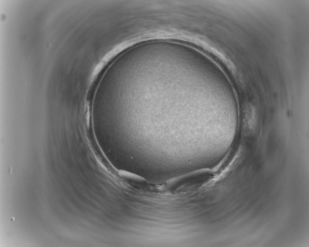 X0000087591509200705041456