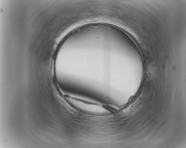 X0000087591510200705041456