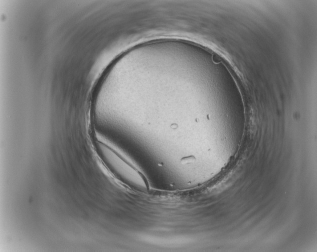 X0000087591511200705041456