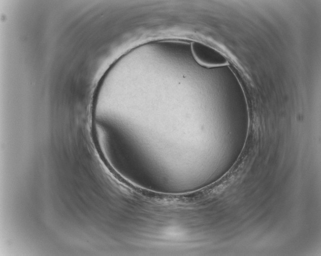 X0000087591512200705041456