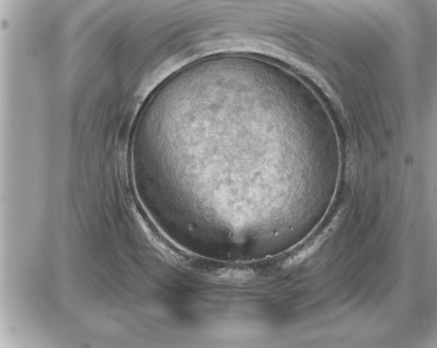 X0000087591513200705041456