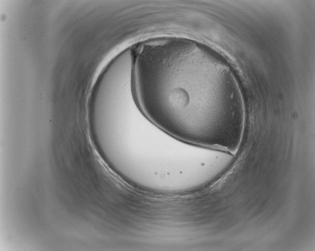 X0000087591514200705041456