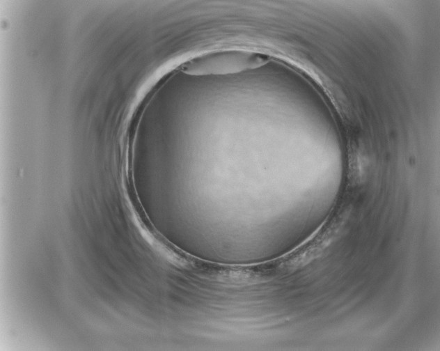 X0000087591515200705041456