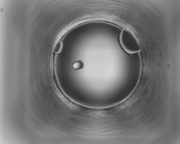 X0000087591516200705041456