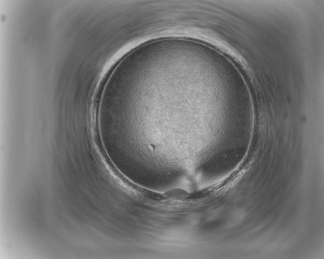 X0000087591517200705041456