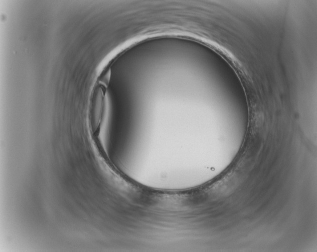 X0000087591518200705041456