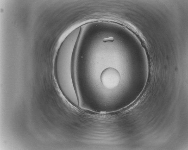 X0000087591520200705041456