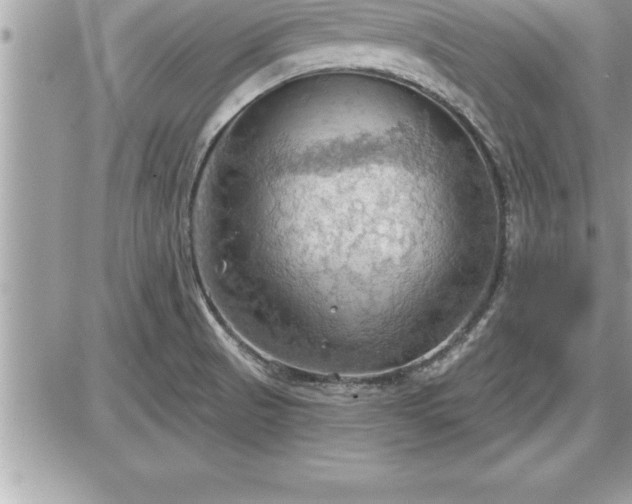 X0000087591521200705041456