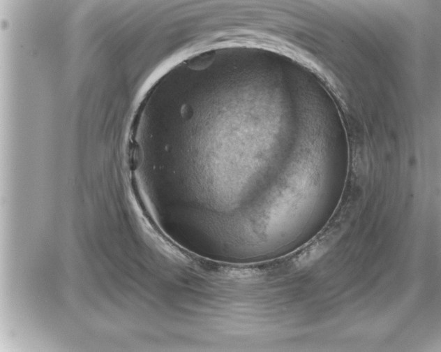 X0000087591522200705041456