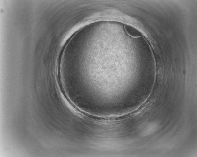 X0000087591523200705041456