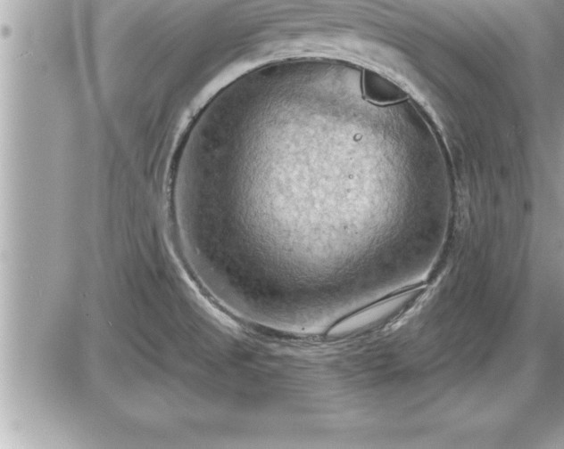 X0000087591525200705041456