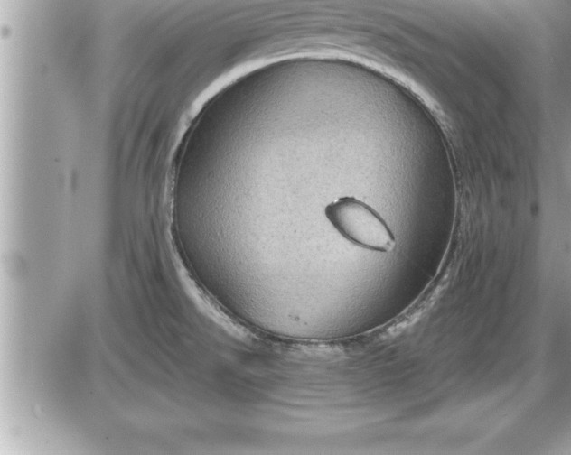 X0000087591526200705041456