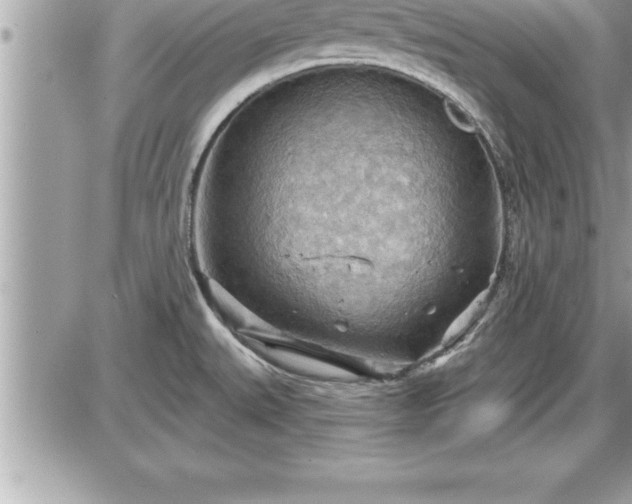 X0000087591527200705041456