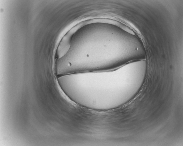 X0000087591528200705041456