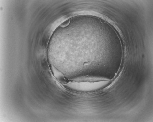 X0000087591529200705041456