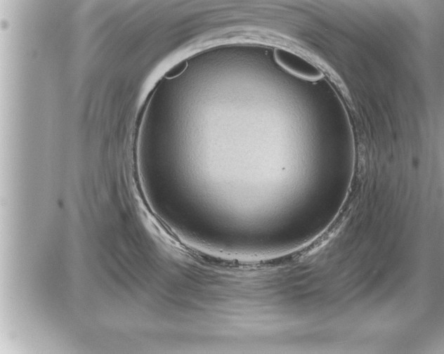 X0000087591530200705041456