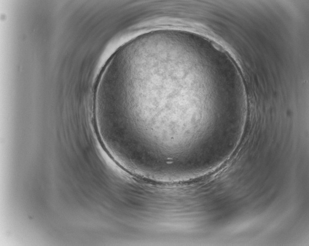 X0000087591531200705041456