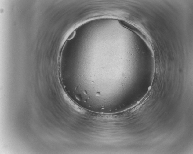 X0000087591532200705041456