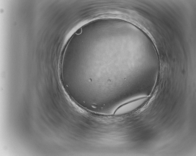 X0000087591533200705041456