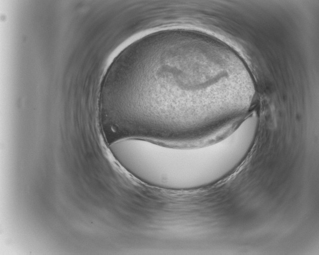 X0000087591534200705041456