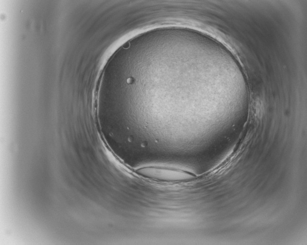 X0000087591535200705041456