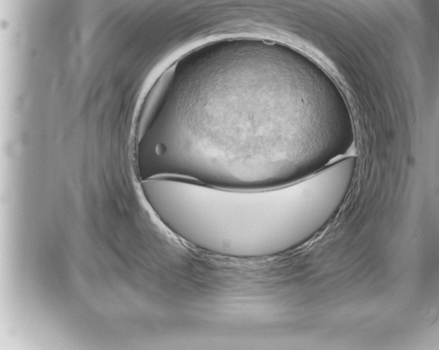 X0000087591536200705041456