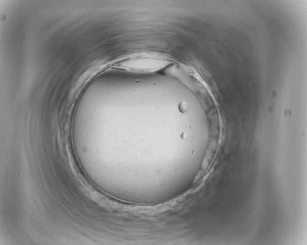 X0000087590001200705112315