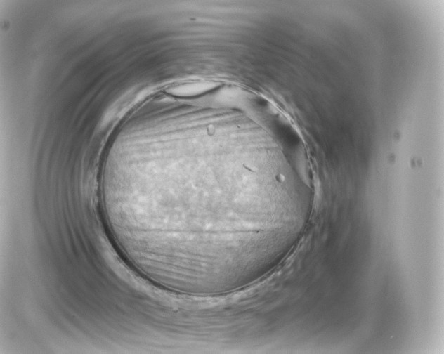 X0000087590002200705112315