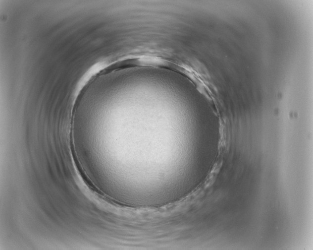 X0000087590003200705112315