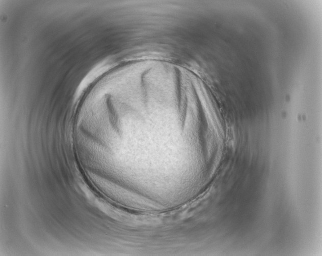 X0000087590004200705112315