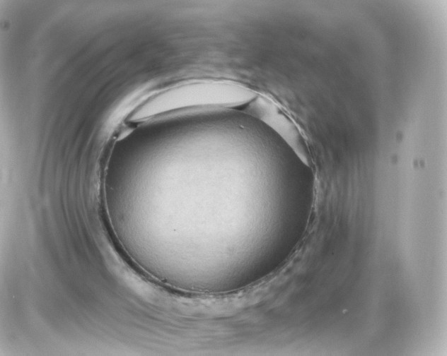 X0000087590005200705112315