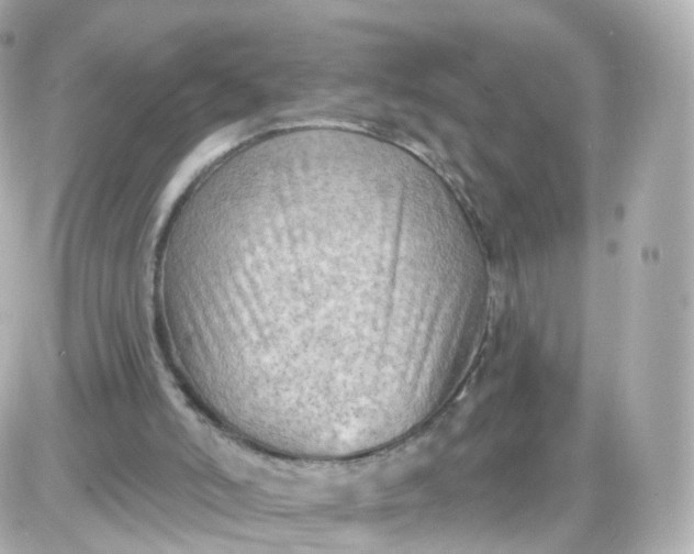 X0000087590006200705112315