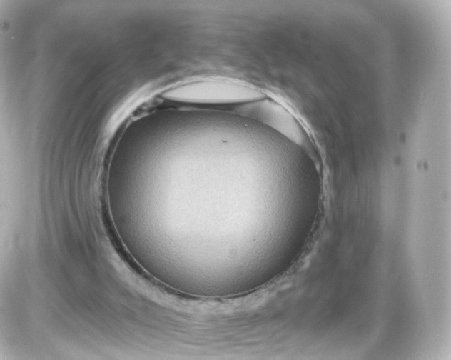 X0000087590007200705112315