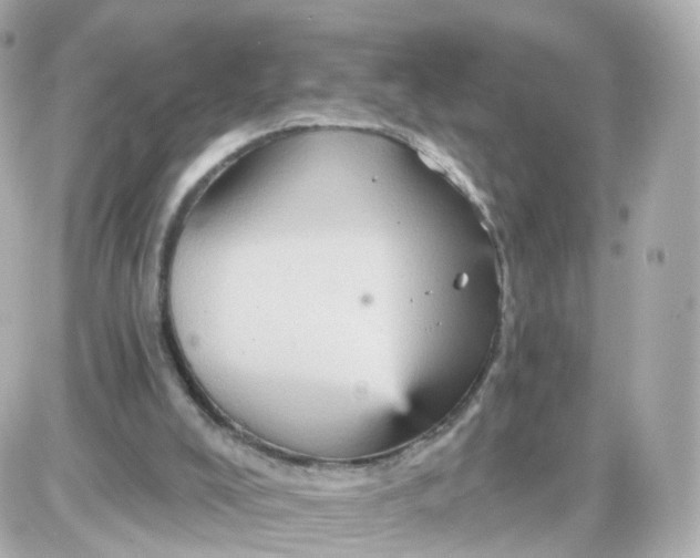 X0000087590008200705112315