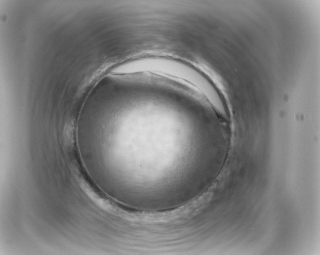 X0000087590009200705112315