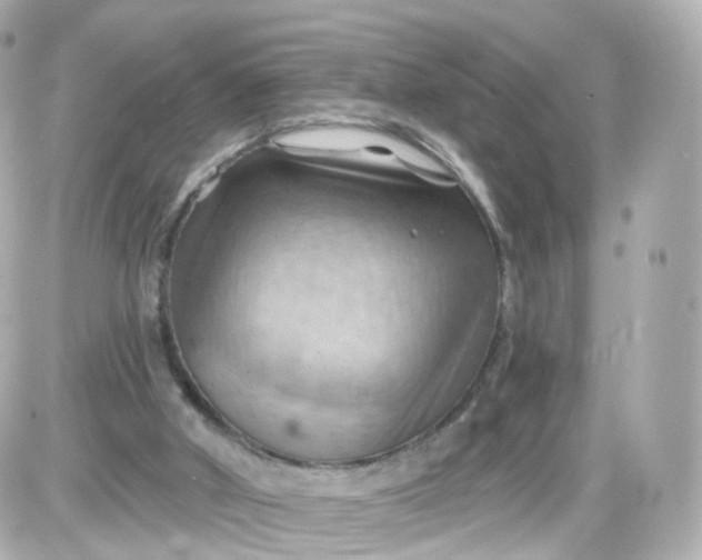 X0000087590010200705112315