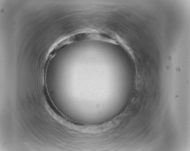 X0000087590011200705112315