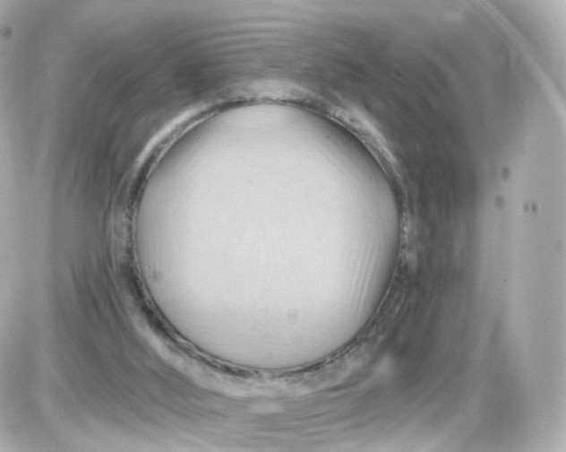 X0000087590012200705112315