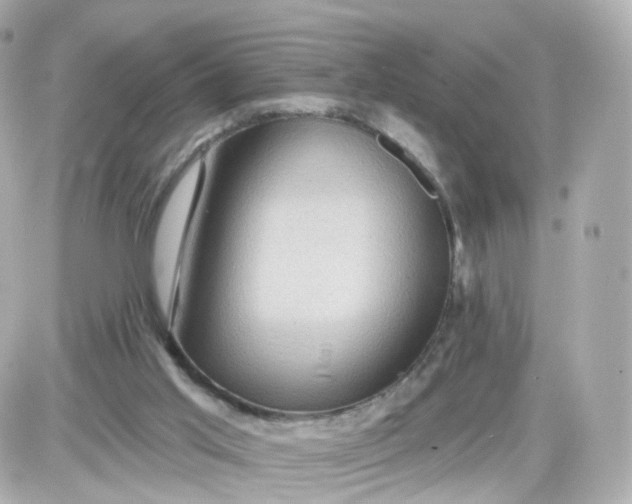 X0000087590013200705112315