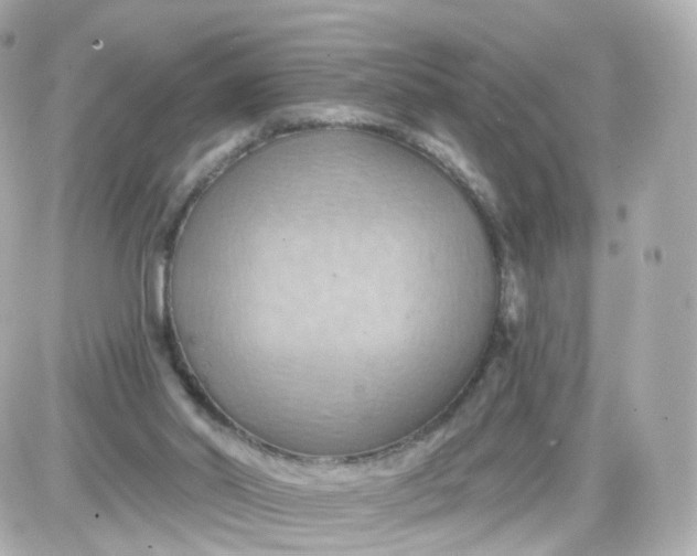 X0000087590014200705112315